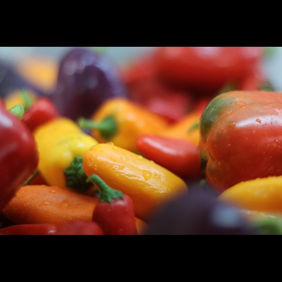 Meet your Posher, Sonja - Picture 4 of 6